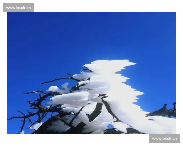 冰晶顶之谜：探索神秘冰雪世界中的自然奇观与生态奥秘