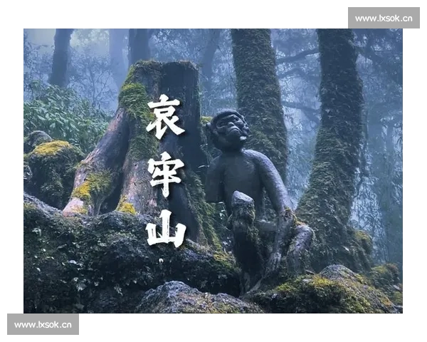 探秘神秘哀牢山云雾深处的生物多样性与古老生态奇观